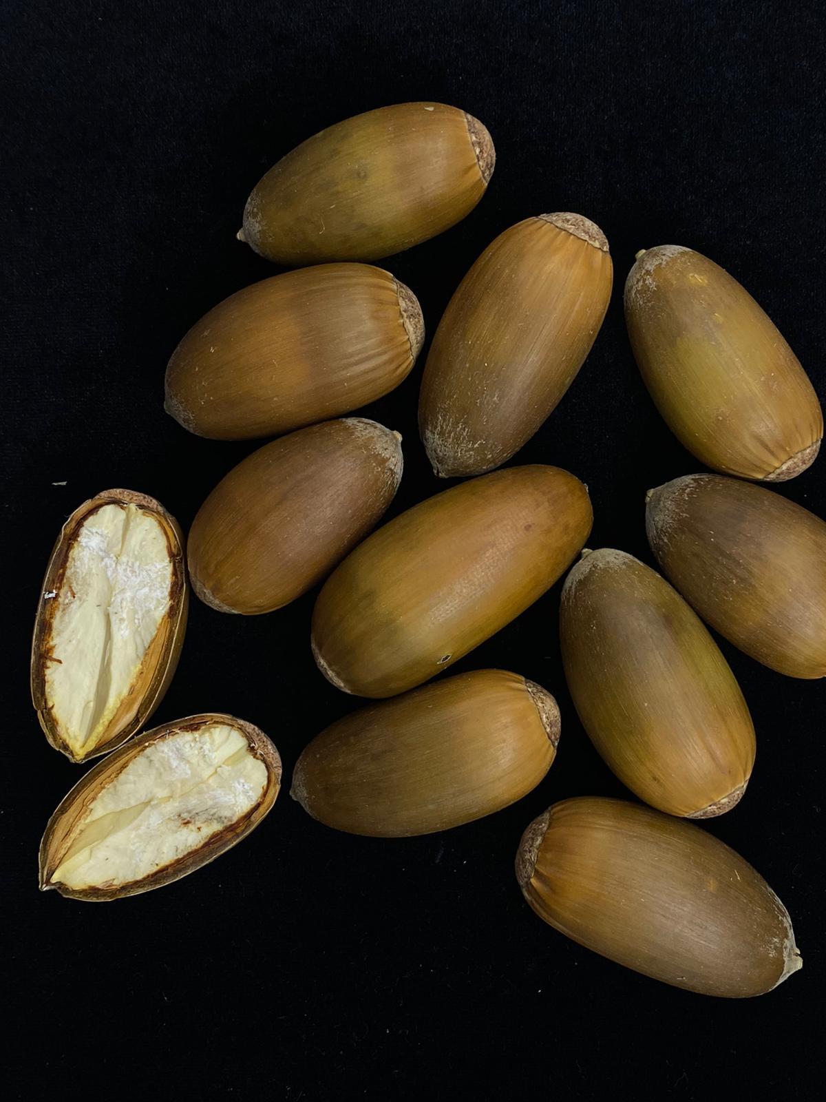 Beyisa Meşe Palamudu Doğunun Kestanesi Pelit Yemiş 1 kg Palamut